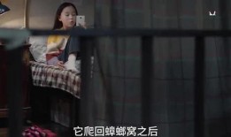 天涯爆料孩子的视频大全,孩子视频大全，揭秘成长瞬间