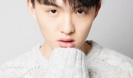 郑伟爆料视频大全下载,揭秘背后真相与精彩瞬间